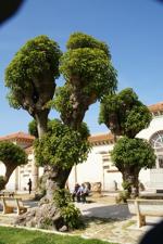 7176138937_9d62e5fb76_c