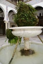 5058455382_aebd941f75_c