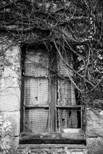 54166369978_19b3c649a8_z