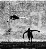 52567051543_271633fe98